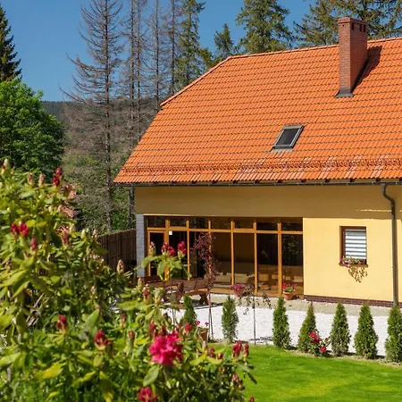 Dom Mysliwski Dağ evi Szklarska Poreba